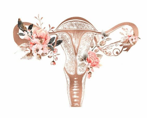 Pernahkah Anda Membayangkan Kehidupan Sehari-hari Bayi di Dalam Kandungan? Sebuah Keajaiban yang Menakjubkan!